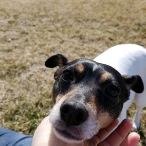 Meet your Posher, Asa